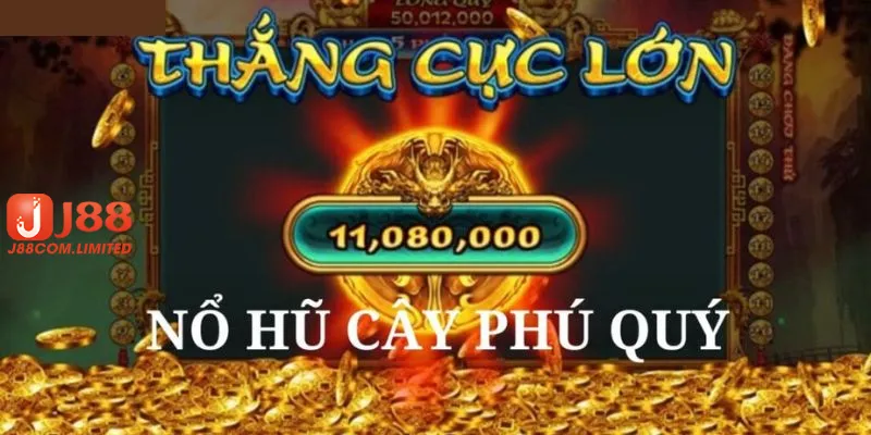 Tham gia chơi cây phú quý